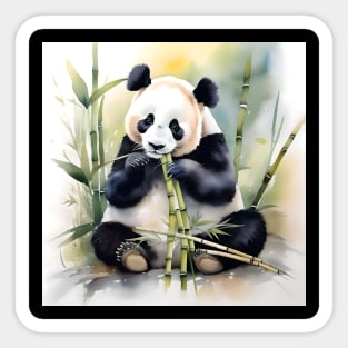 Panda Bear Study Sticker